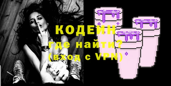 спиды Бикин