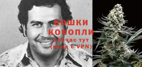 экстази Няндома