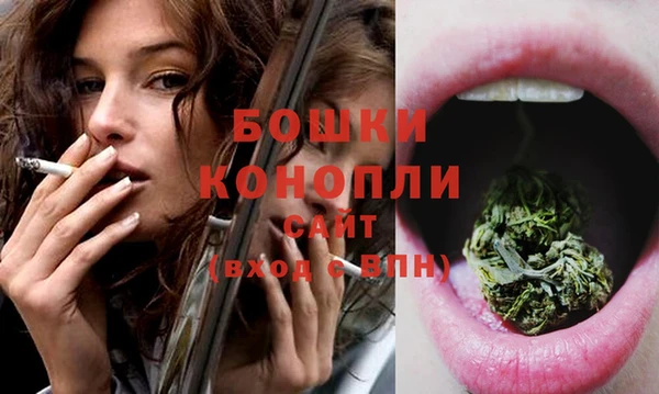 экстази Няндома