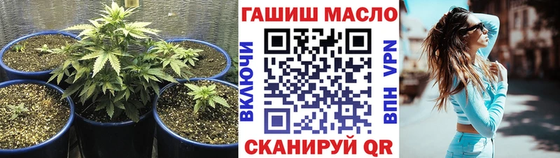 где найти Лихославль Дистиллят ТГК Wax