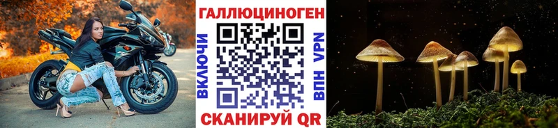купить наркоту Лихославль mega как зайти Галлюциногенные грибы Cubensis